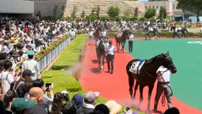 動画サムネイル