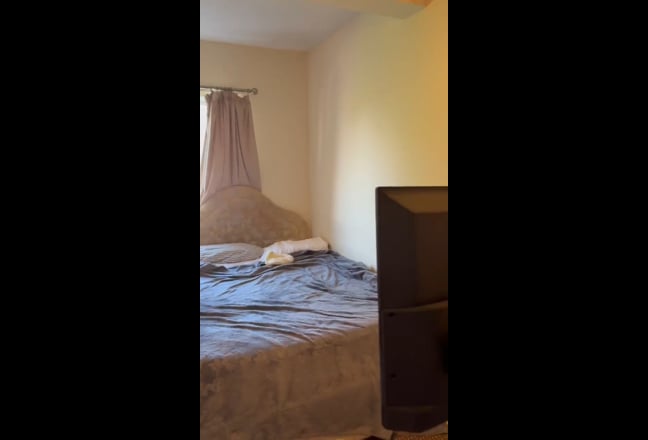 Video 1: 