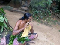 Flute playing by Vedda