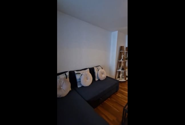 Video 1: 