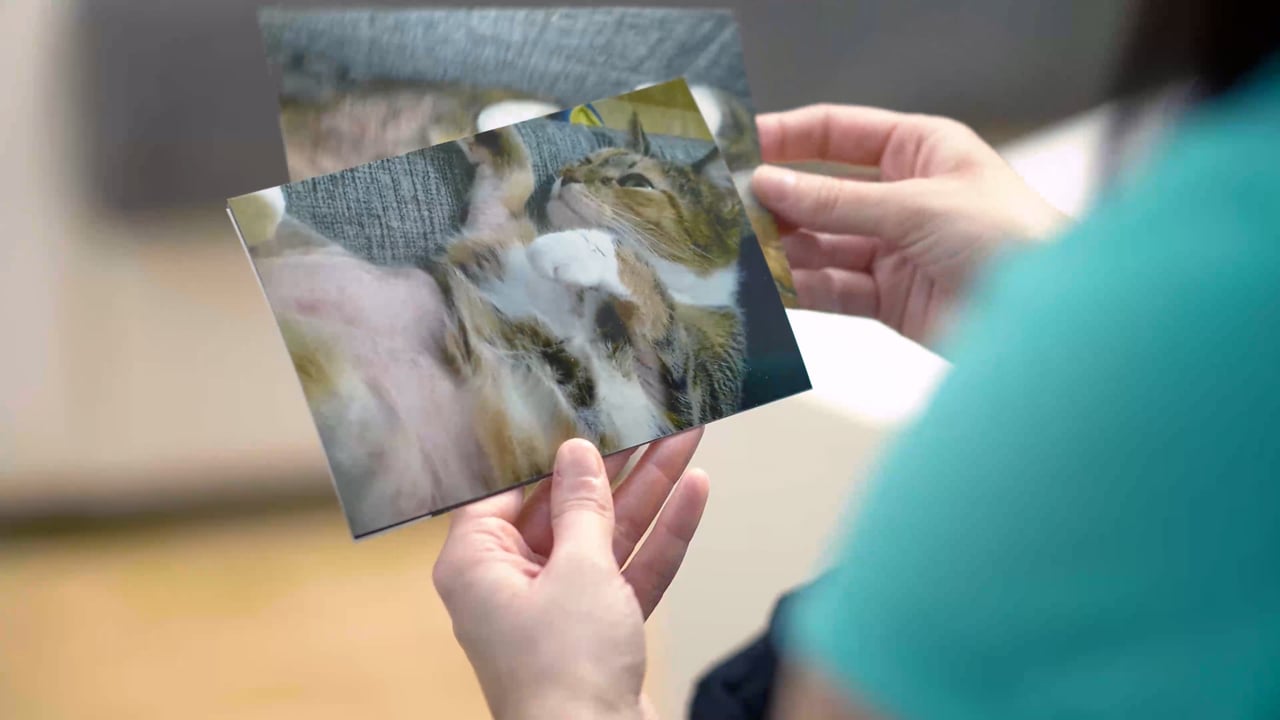 Werbespot CATZ Finefood · Premium Petfood Marke · Video Still aus der Werbefilm Produktion von Jens Achtert · imagecouture