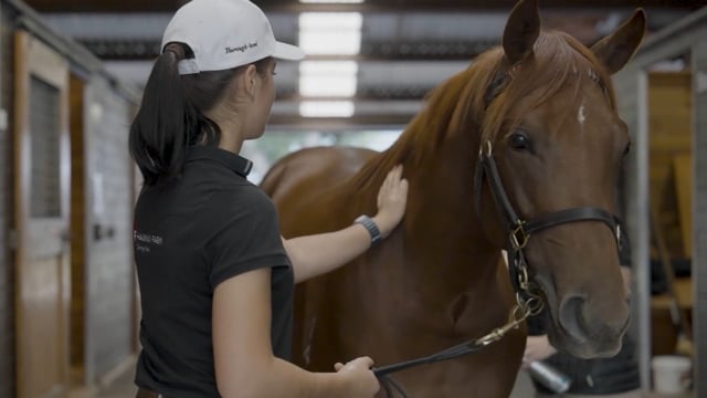 Karaka 2027 | Entries Closing Soon