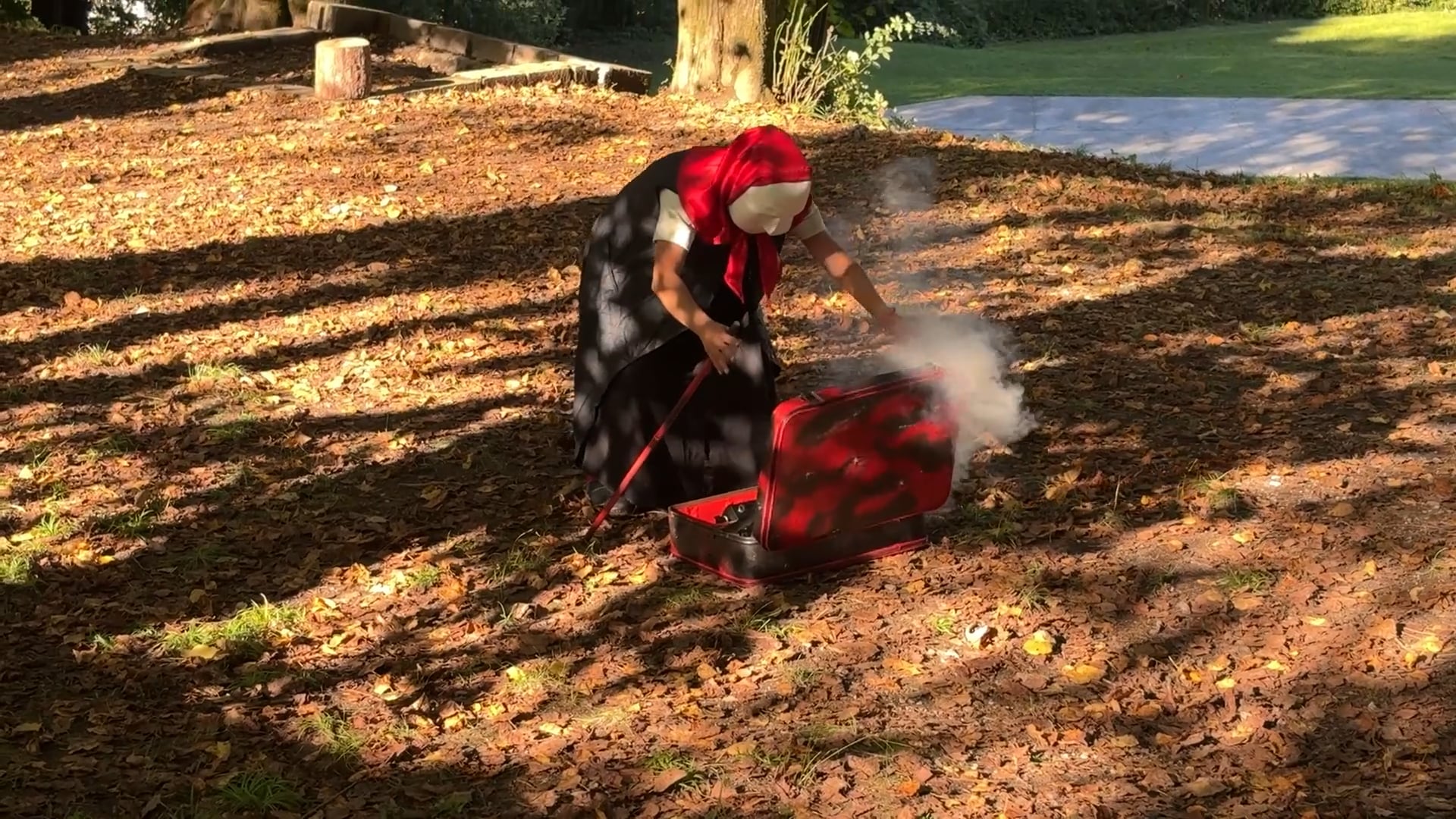 Globus Hystericus - Busker’s Dream - a poem for a park (2025)