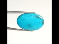T 06