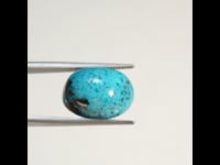 T 04