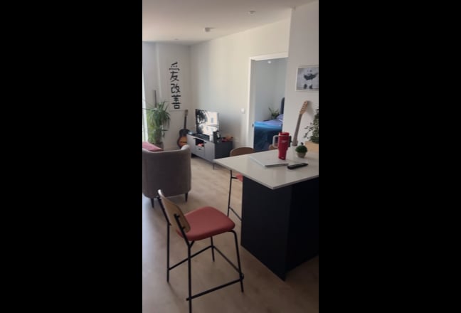 Video 1: 