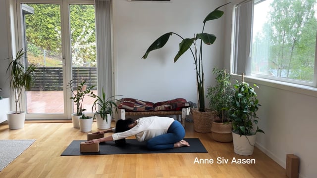 Yoga for Rygg – Del 1: Grunnlaget for en sterkere rygg