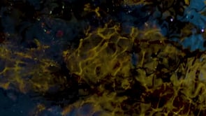 Experimental Filmmakers