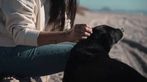 Related Embedded Video Item Thumbnail