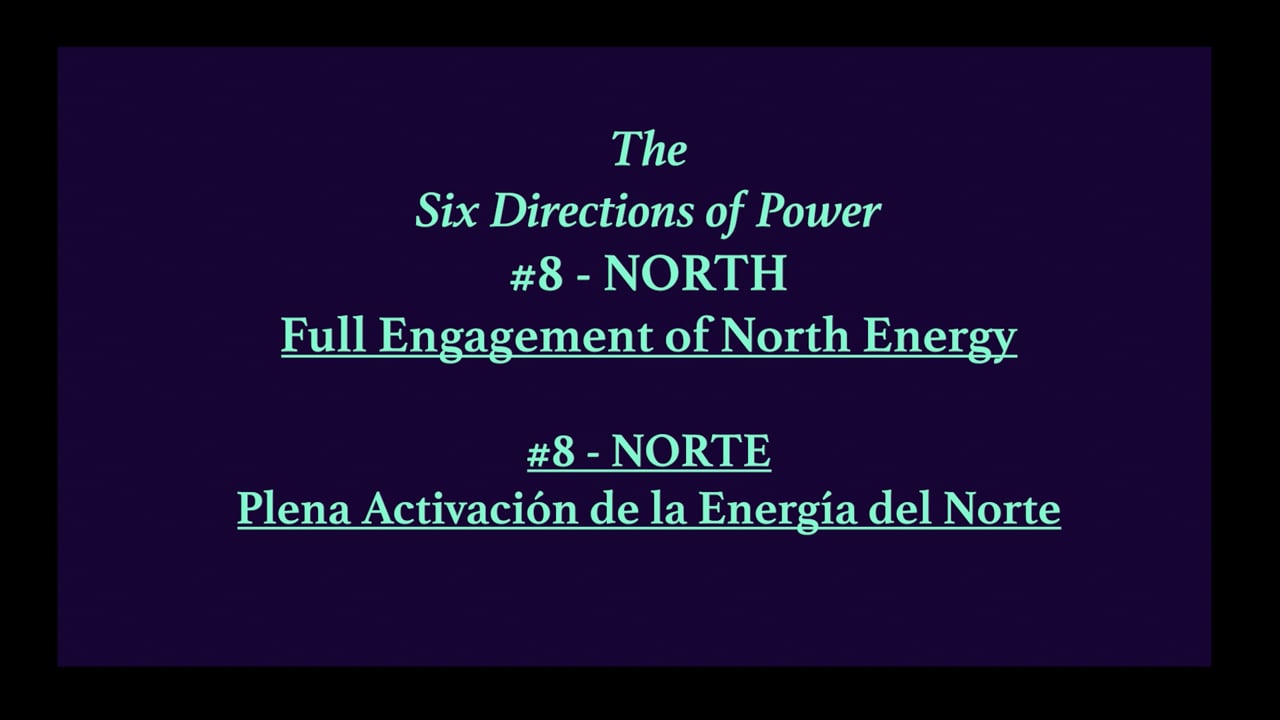 Mov21_NORTH#8_Full Engagement of the North Energy