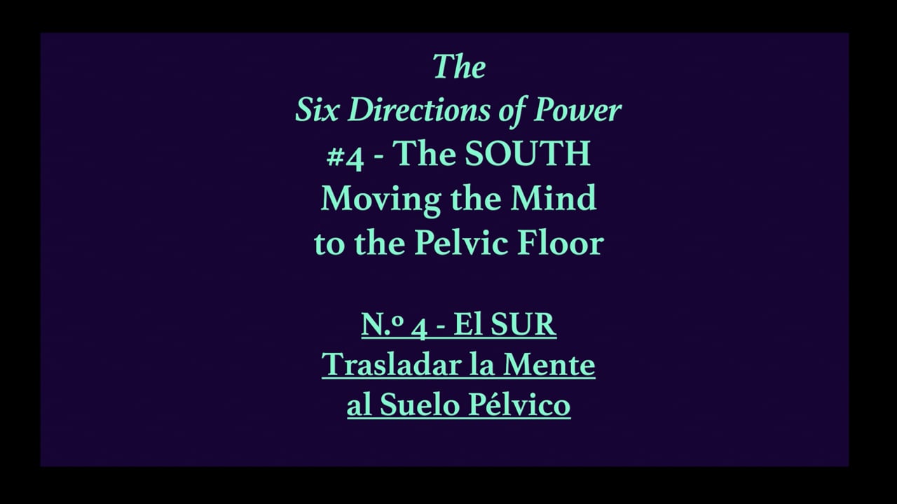Mov29_SOUTH#4_Moving the Mind to the Pelvic Floor
