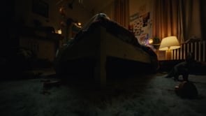 Related Embedded Video Item Thumbnail