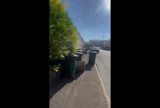 Video 1: 