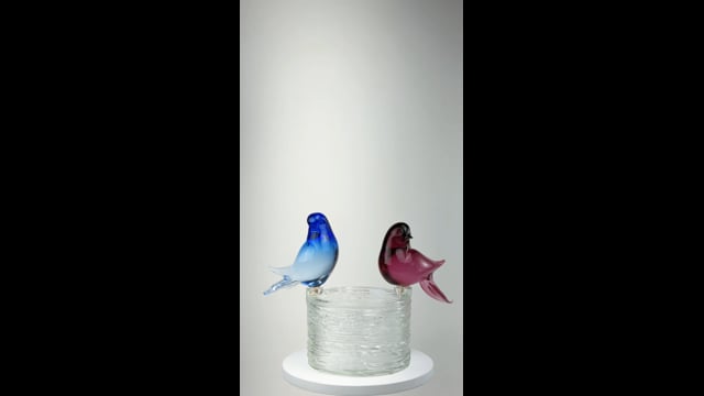 Ninho Pássaros Azul e Rosa