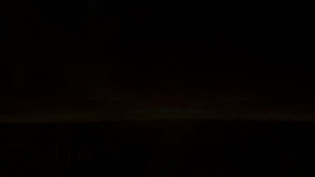 Trailer_SUDAFRIKA_TUA_2627