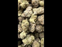 Versace runtz x zkittlez