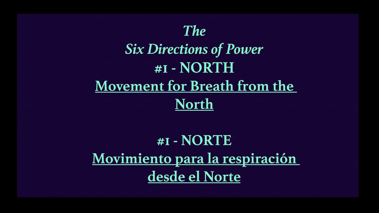 Mov14_NORTH#1_Movement for Breath for the North