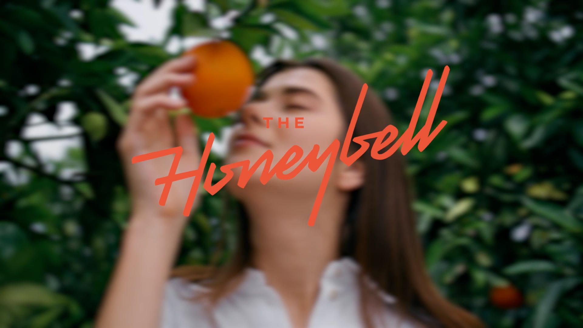 The Honeybell - Luxury Apartments in Vero Beach