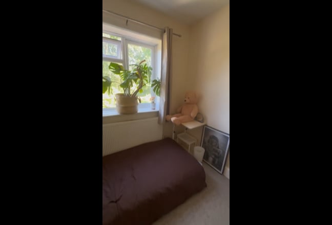 Video 1: 