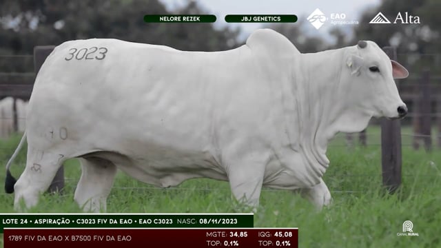 Lote 24