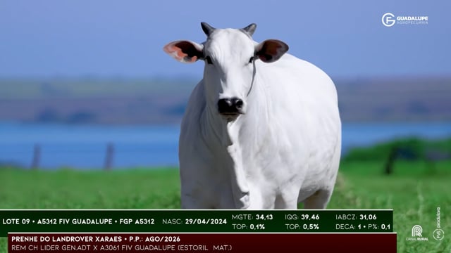 Lote 09