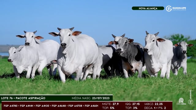 Lote 76