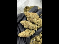 Jedi kush