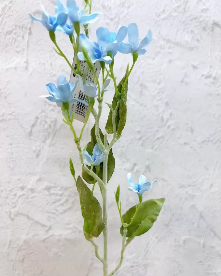 ﾌﾞﾙｰｽﾀｰ: 造花（アーティフィシャルフラワー） ｜ YDMオンラインストア