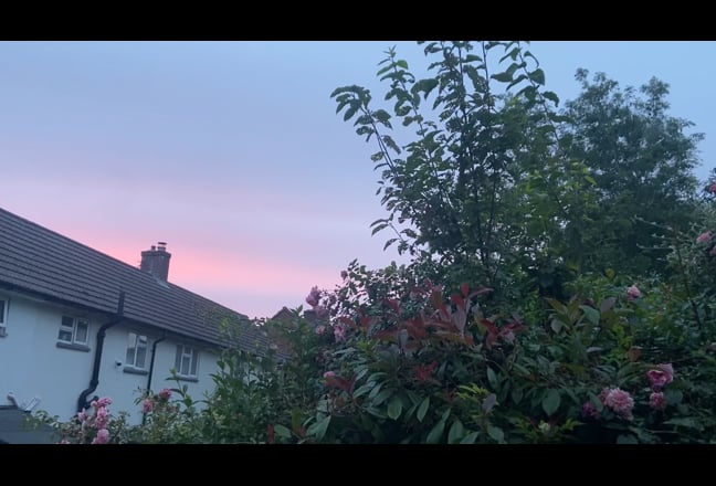 Double Room in peaceful house share  Main Photo