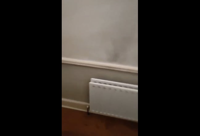 Video 1: 
