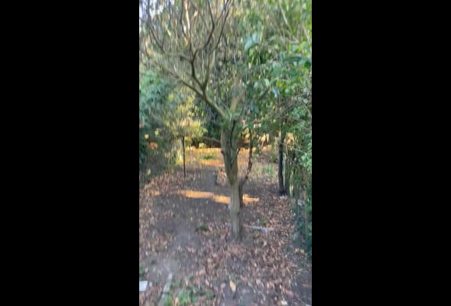 Furnished 3 Bed with Garden and Office New Cross Main Photo