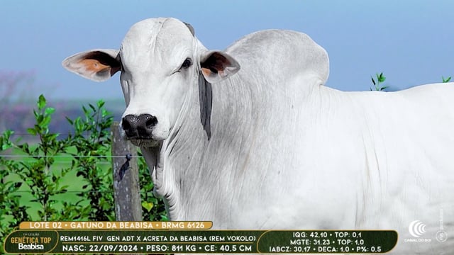 Lote 02
