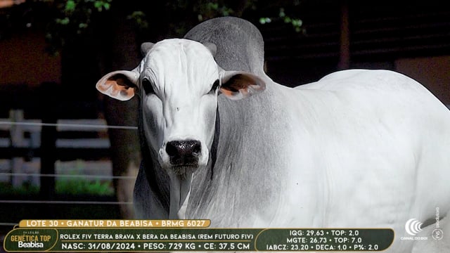 Lote 30