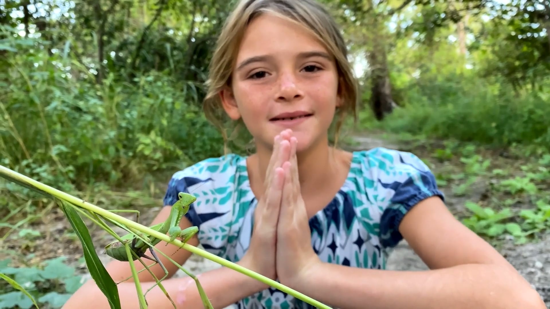 Insects & Invertebrates - Praying Mantis, Scorpions, Locusts, Centipede & Termites