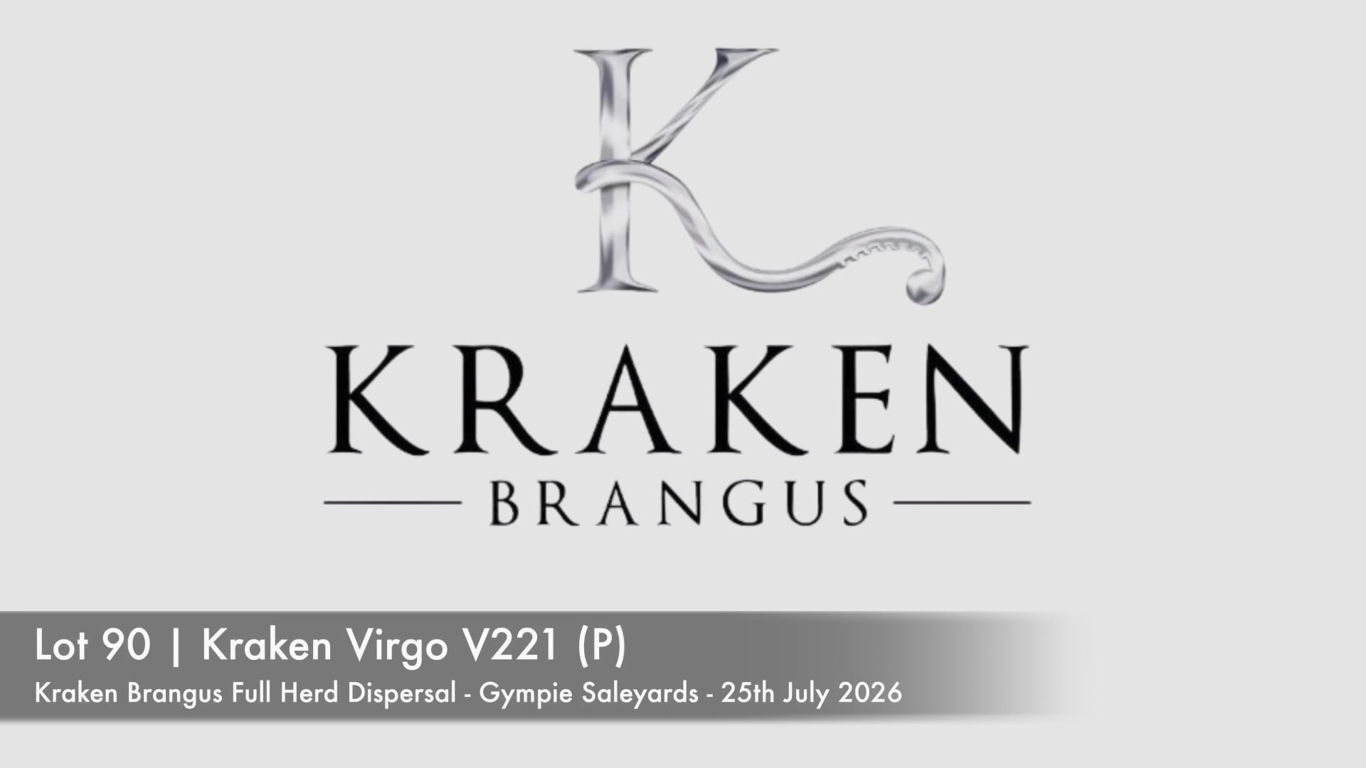 Lot 90 · KRAKEN VIRGO 377V221 (P) (Kraken Brangus)