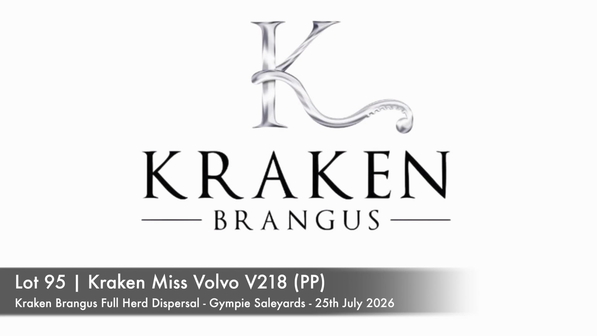 KRAKEN MISS VOLVO 419V218 (PP) (Kraken Brangus)