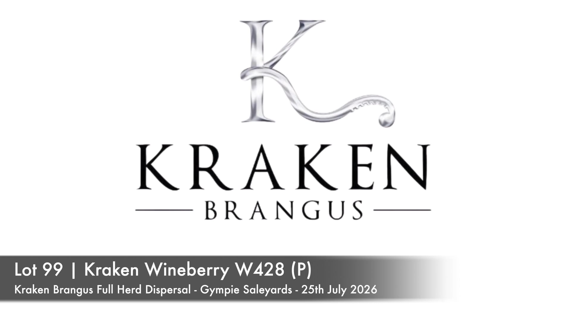 Lot 99 · KRAKEN WINEBERRY 120W428 (P) (Kraken Brangus)