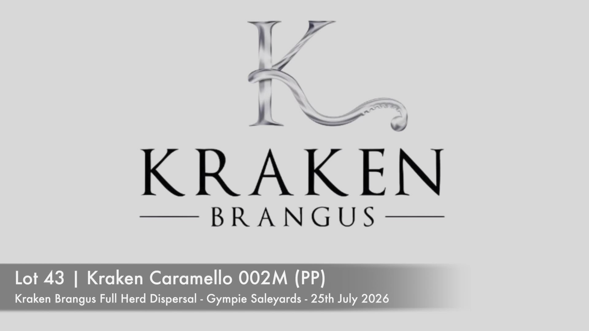 KRAKEN CARAMELLO 002M (PP) (Kraken Brangus)
