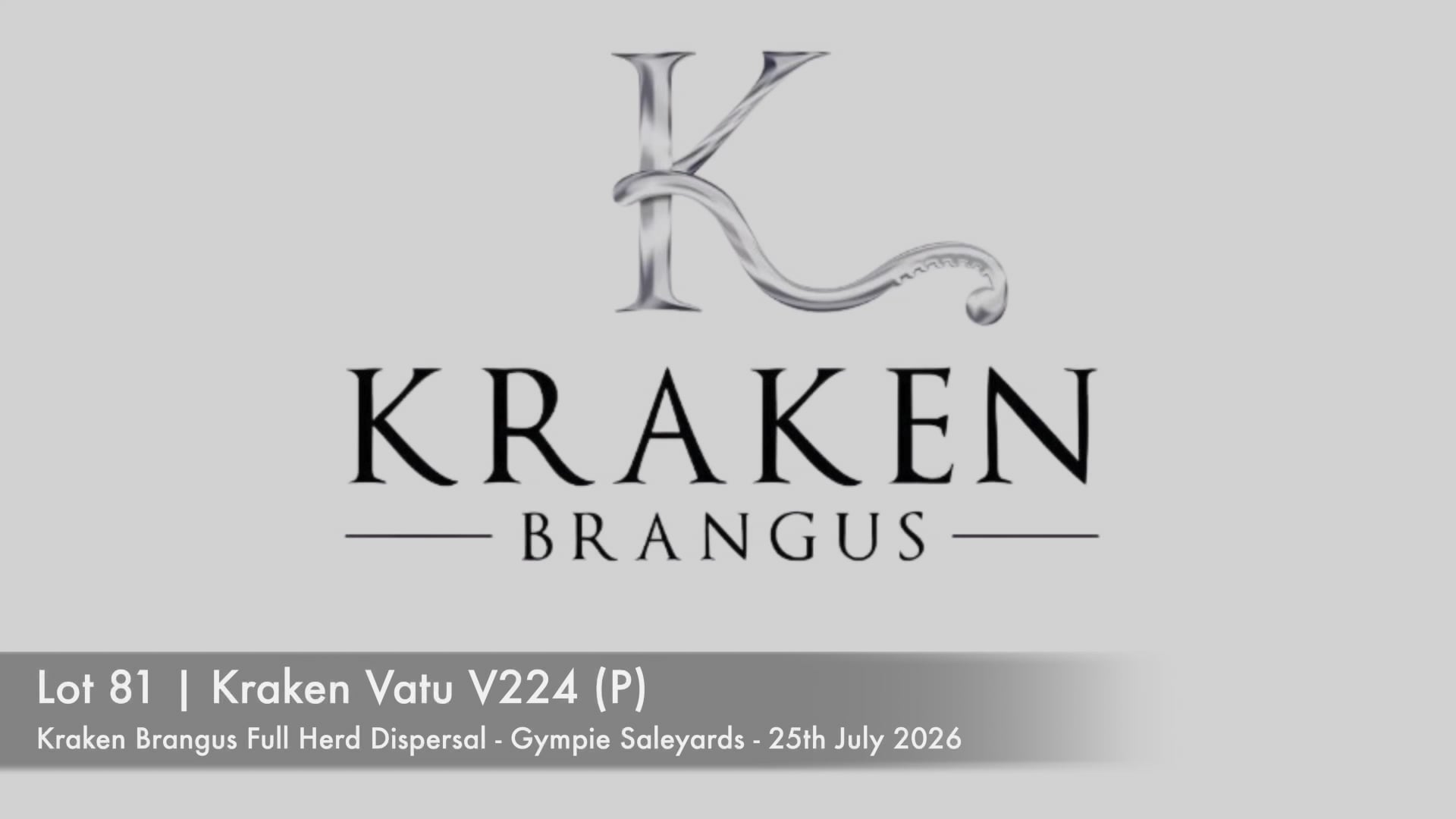 Lot 81 · KRAKEN VATU 162V224 (P) (Kraken Brangus)