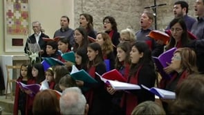 Aplec de Sant Martí 2011