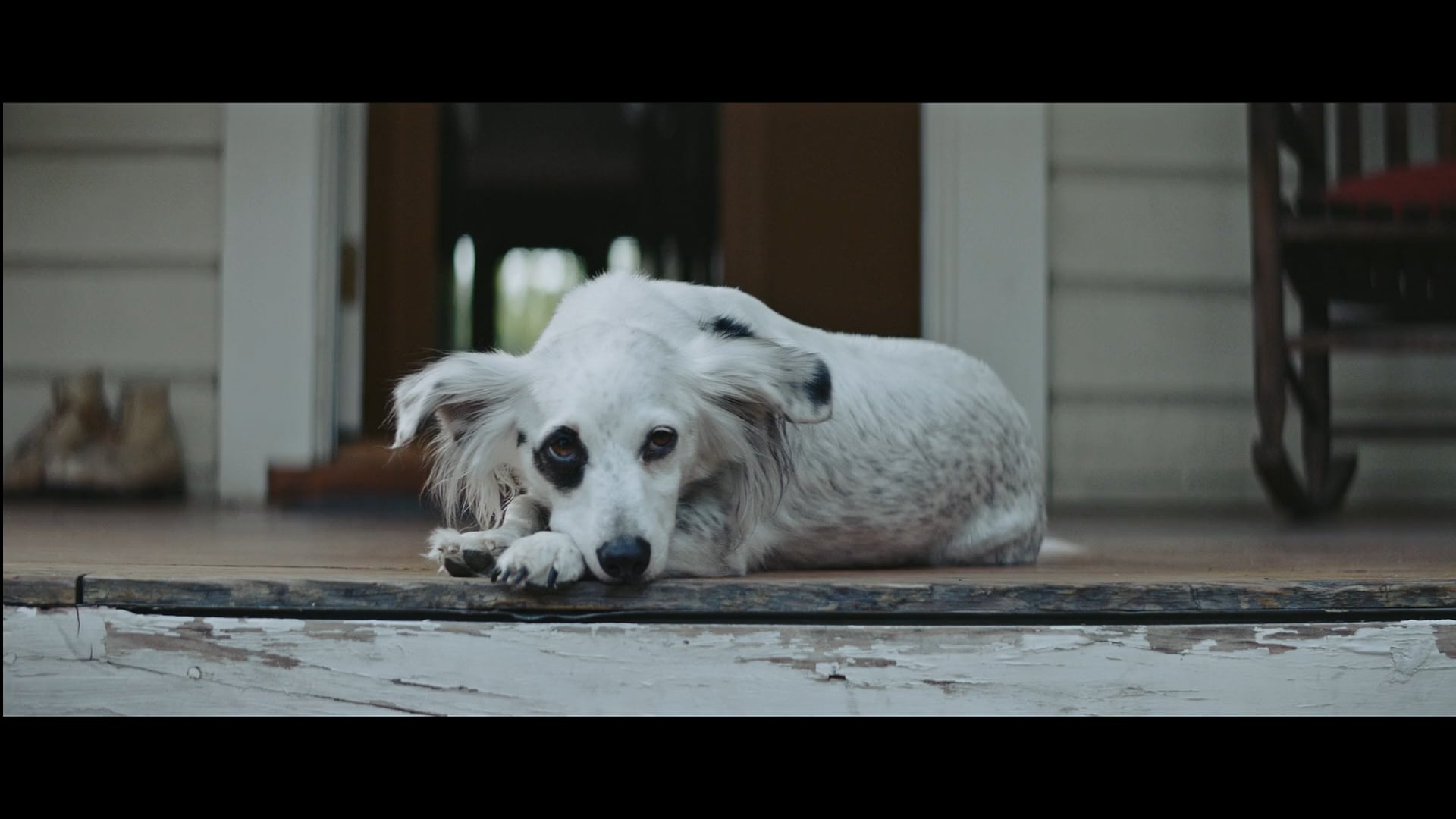 Audi "Strelka" Choeur