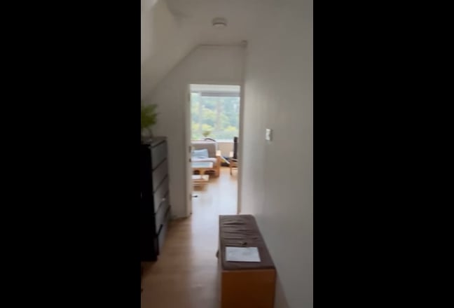 Video 1: 