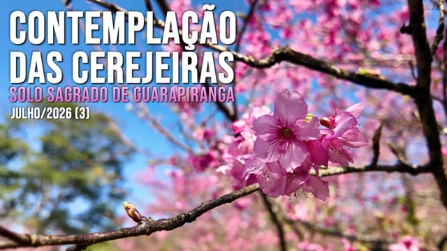 Capa do vídeo do “Contemplação (3) das Cerejeiras no Solo Sagrado de Guarapiranga - Julho / 2026”.