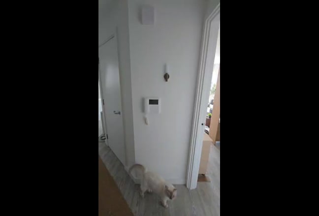 Looking for Roommate - 5mins to tube (New Flat)  Main Photo
