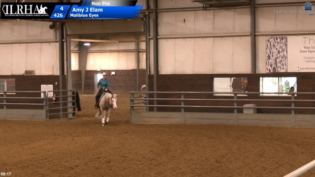 #426 Amy J Elam