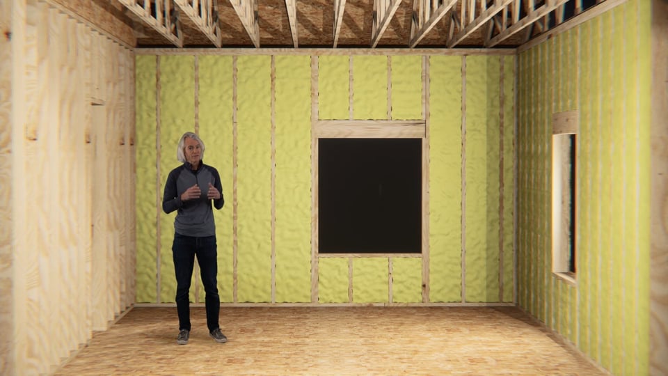 Video Image