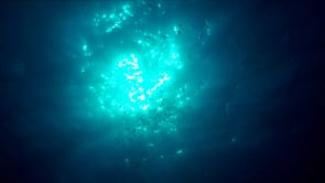 1894_Air bubbles rising to sunny ocean surface