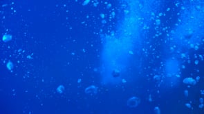 1647_Air bubbles underwater in slow motion