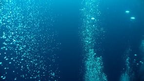 1063_Air bubbles streaming to ocean surface