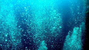 1062_Many air bubbles from scuba divers floating to the surface